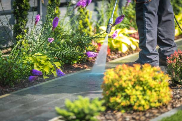 Spring Cleaning in Bellingham, WA